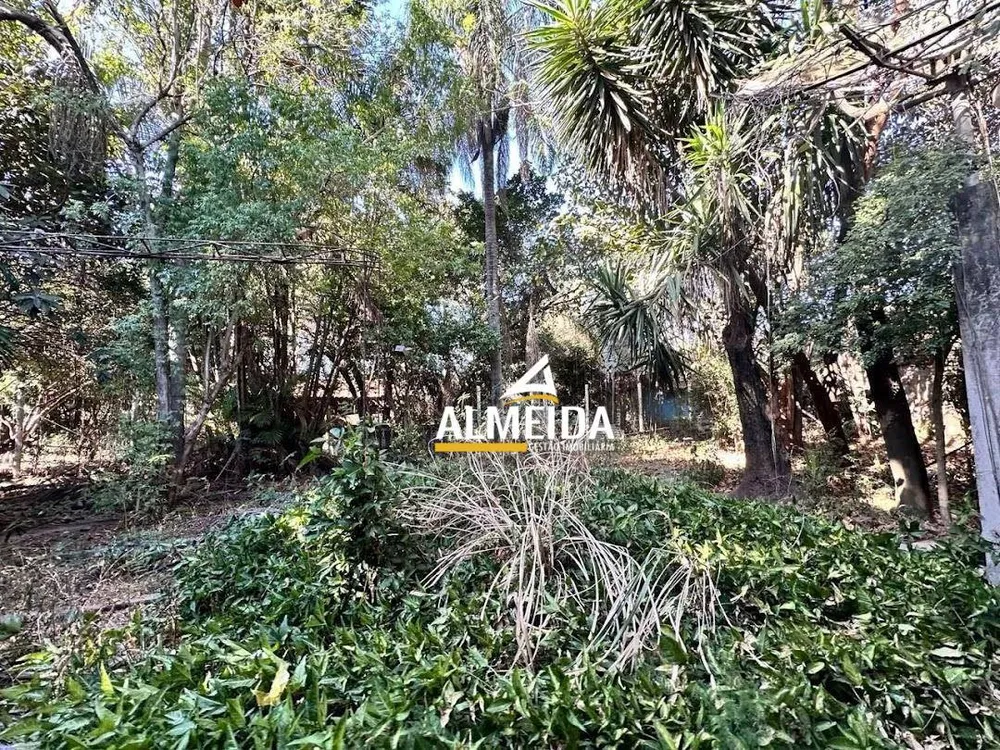 Chácara, 3 quartos, 3618 m² - Foto 9