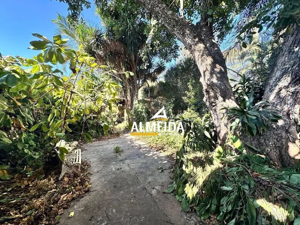 Chácara, 3 quartos, 3618 m² - Foto 6