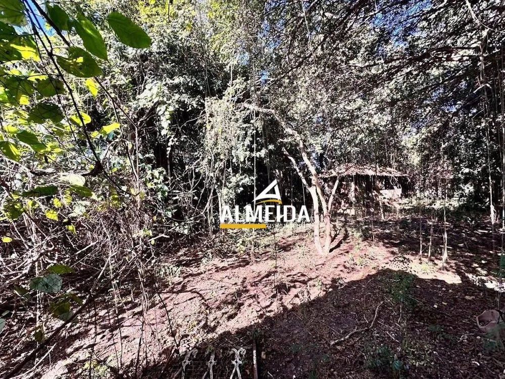 Chácara, 3 quartos, 3618 m² - Foto 4