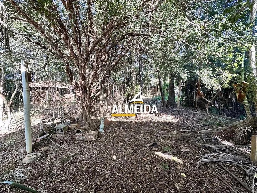 Chácara, 3 quartos, 3618 m² - Foto 3