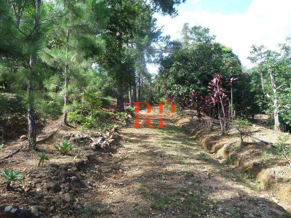 Sítio, 3 quartos, 3 hectares - Foto 4