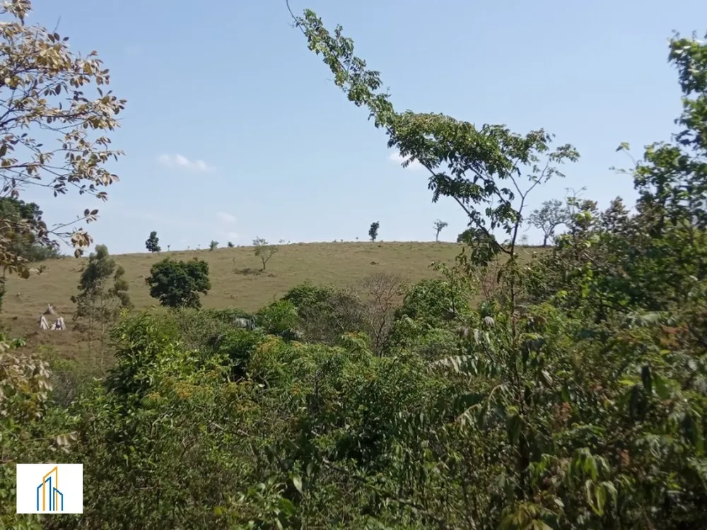 Sítio, 7 hectares - Foto 4