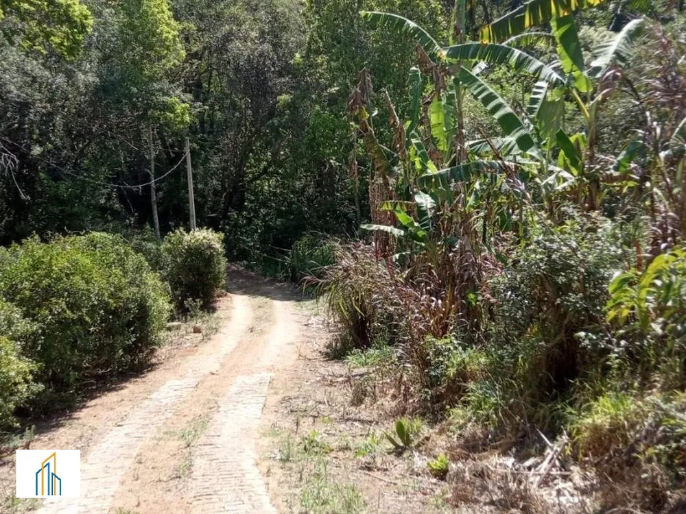 Sítio, 7 hectares - Foto 6