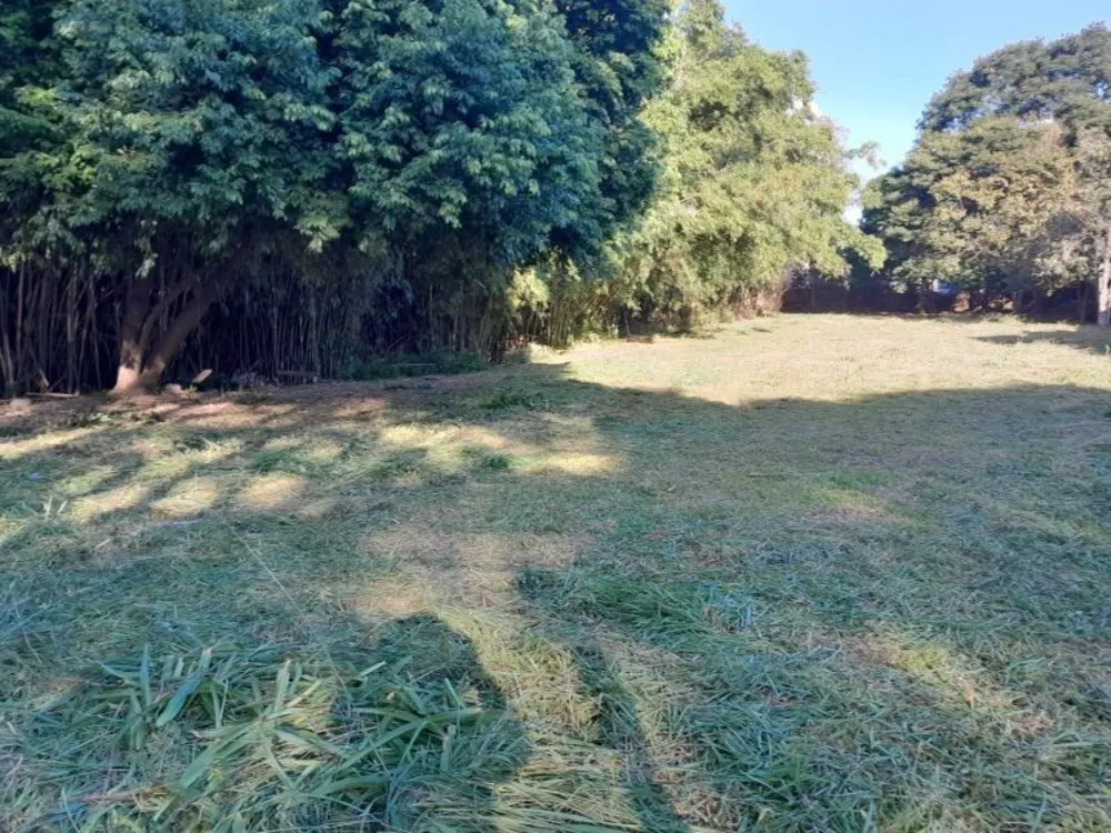 Terreno - Foto 5