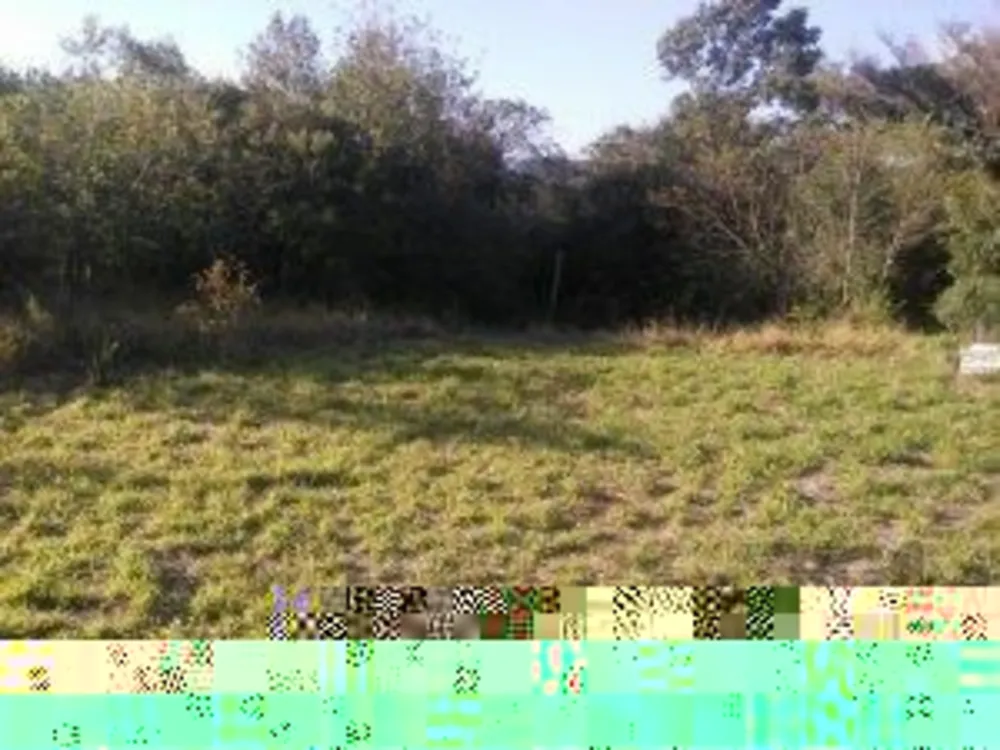 Casa, 4 quartos, 255 m² - Foto 1