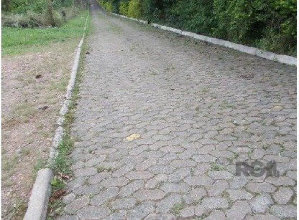 Terreno, 6 hectares - Foto 5