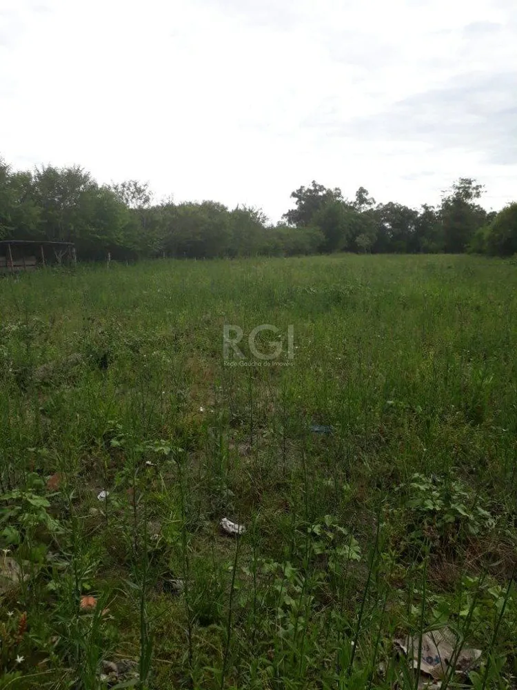 Terreno, 3 hectares - Foto 5