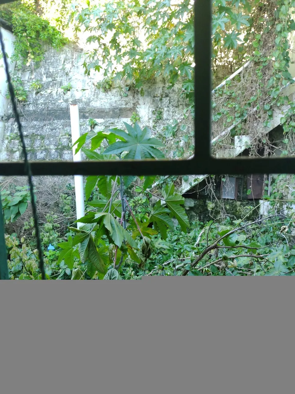Apartamento, 2 quartos, 63 m² - Foto 11
