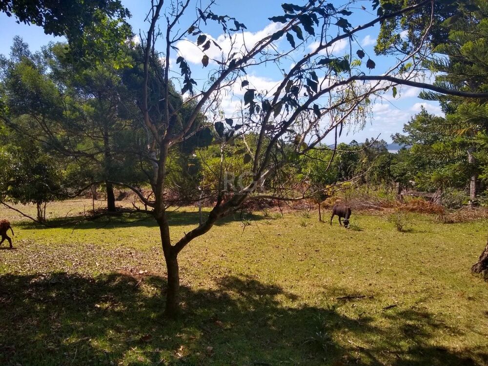 Sítio à venda com 3 quartos, 3959m² - Foto 6