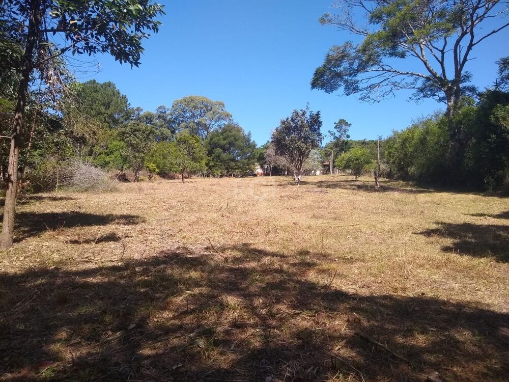 Sítio à venda com 3 quartos, 3959m² - Foto 7