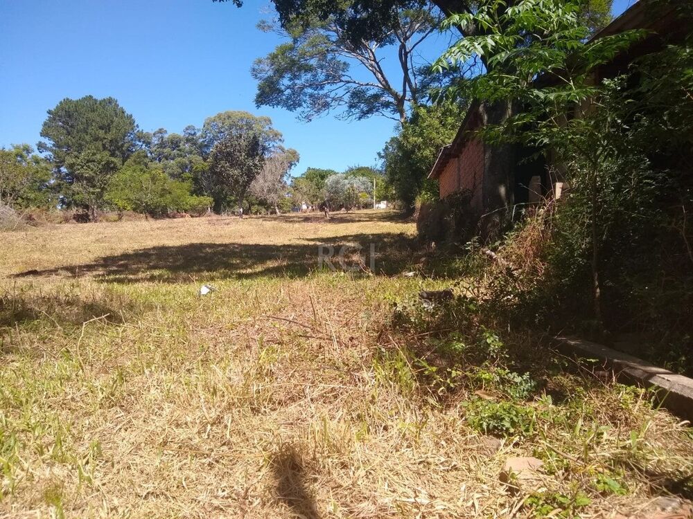 Sítio à venda com 3 quartos, 3959m² - Foto 8