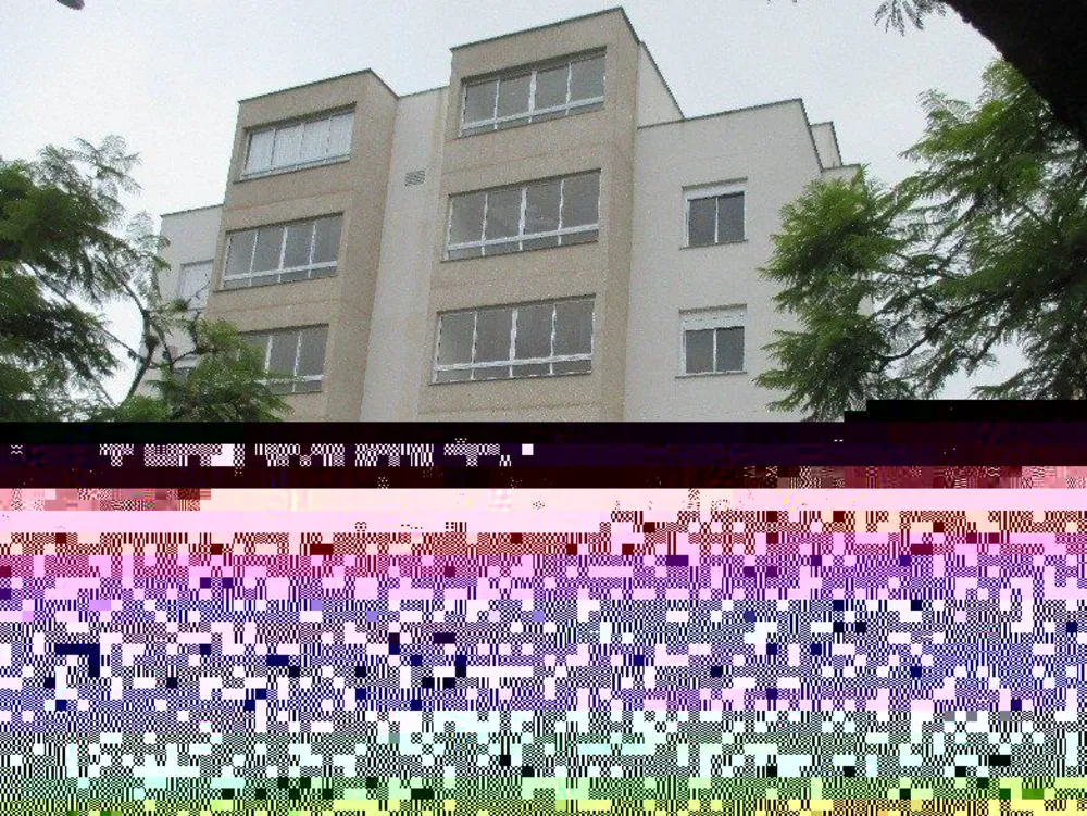 Sítio, 2 quartos, 1 m² - Foto 10