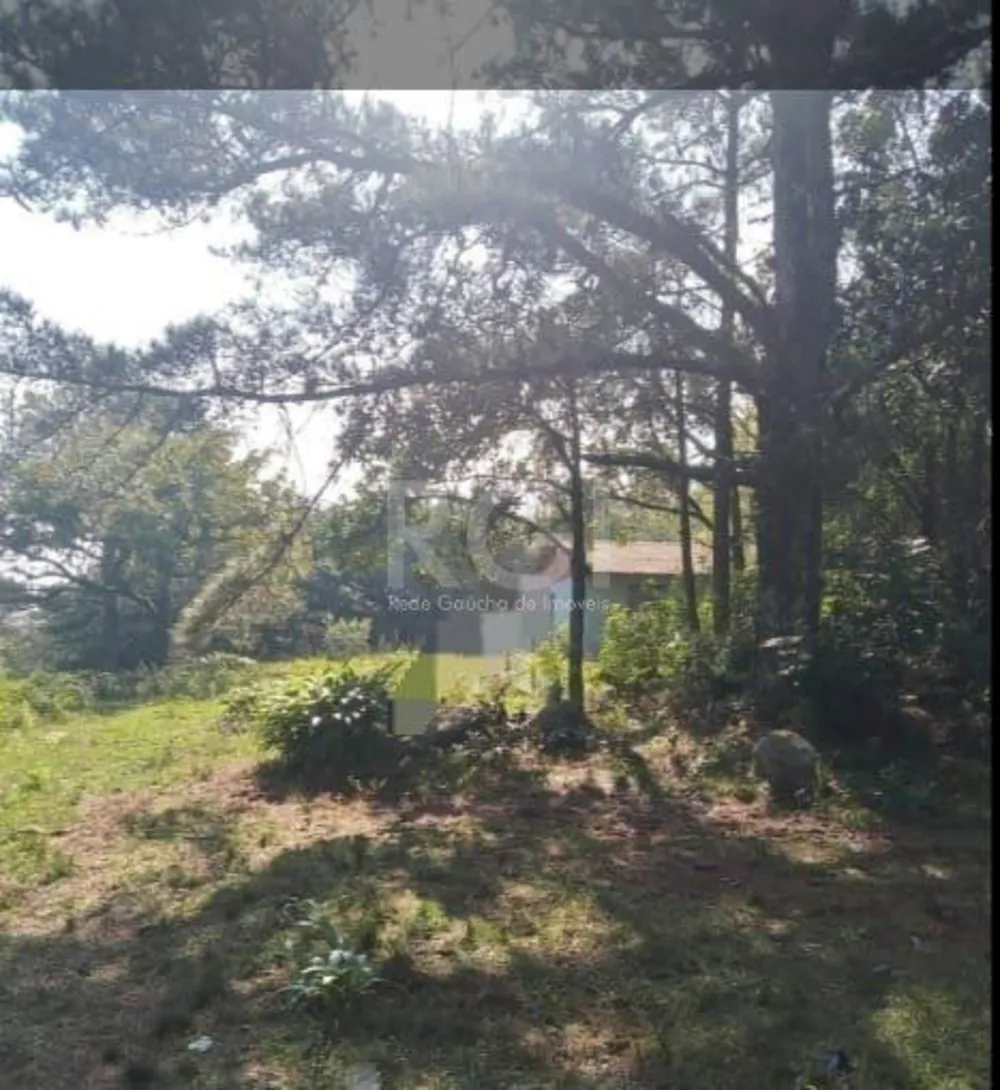 Sala-Conjunto, 37 m² - Foto 8