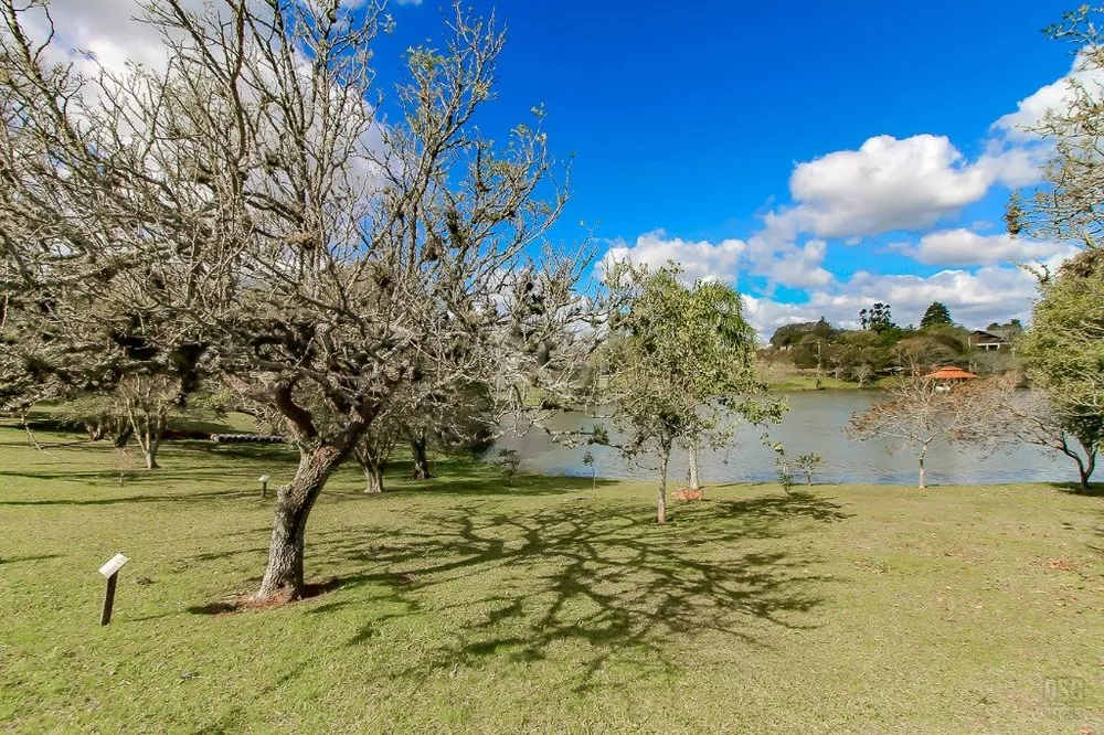 Terreno à venda, 8230m² - Foto 5