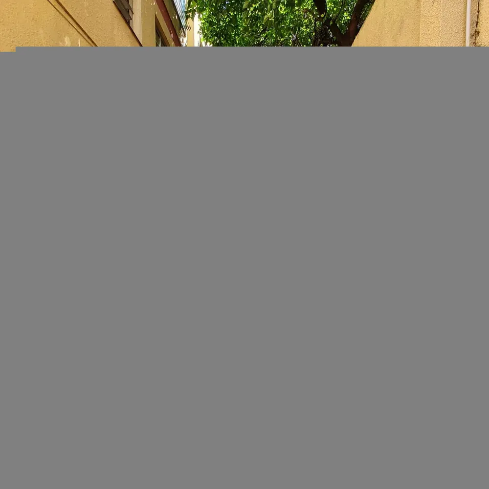 Casa, 5 quartos, 349 m² - Foto 1