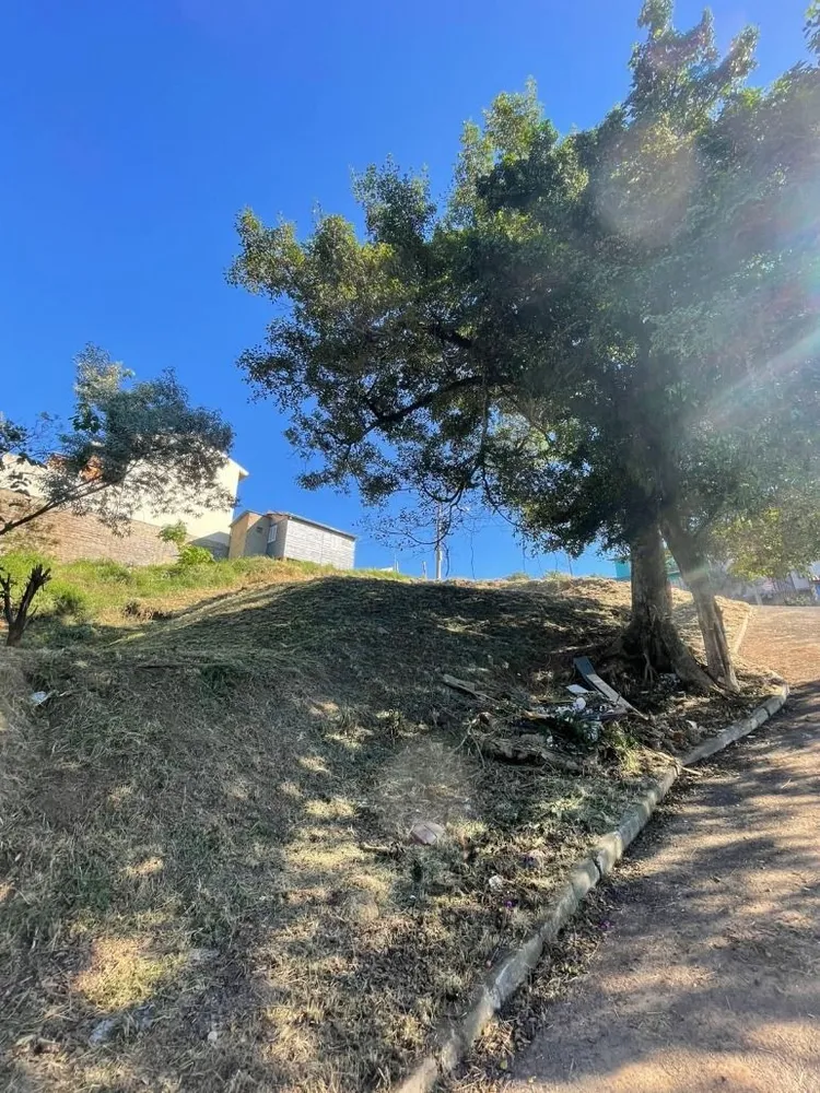 Terreno, 239 m² - Foto 1