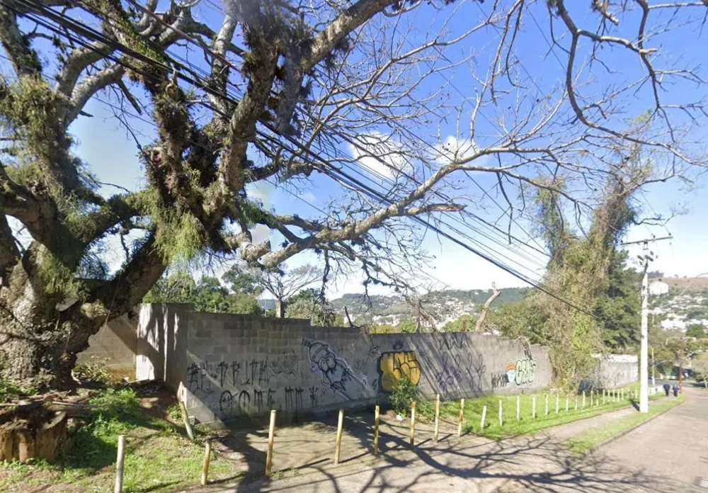 Terreno, 5316 m² - Foto 2