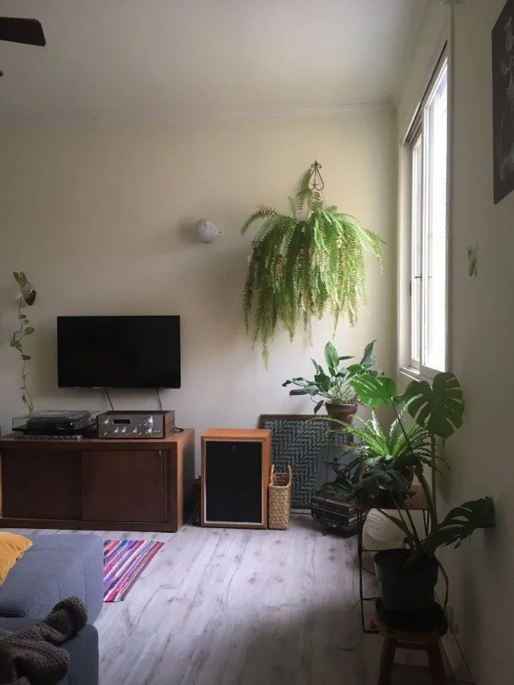 Apartamento, 2 quartos, 52 m² - Foto 2