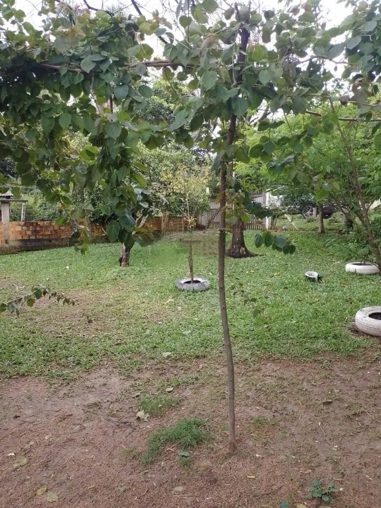 Casa, 3 quartos, 39 m² - Foto 2