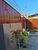 Casa, 1 quarto, 199 m² - Foto 3