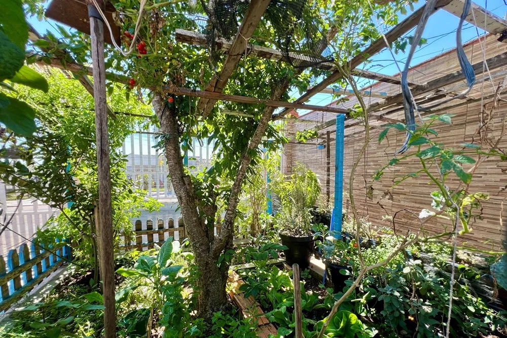 Casa, 4 quartos, 243 m² - Foto 4