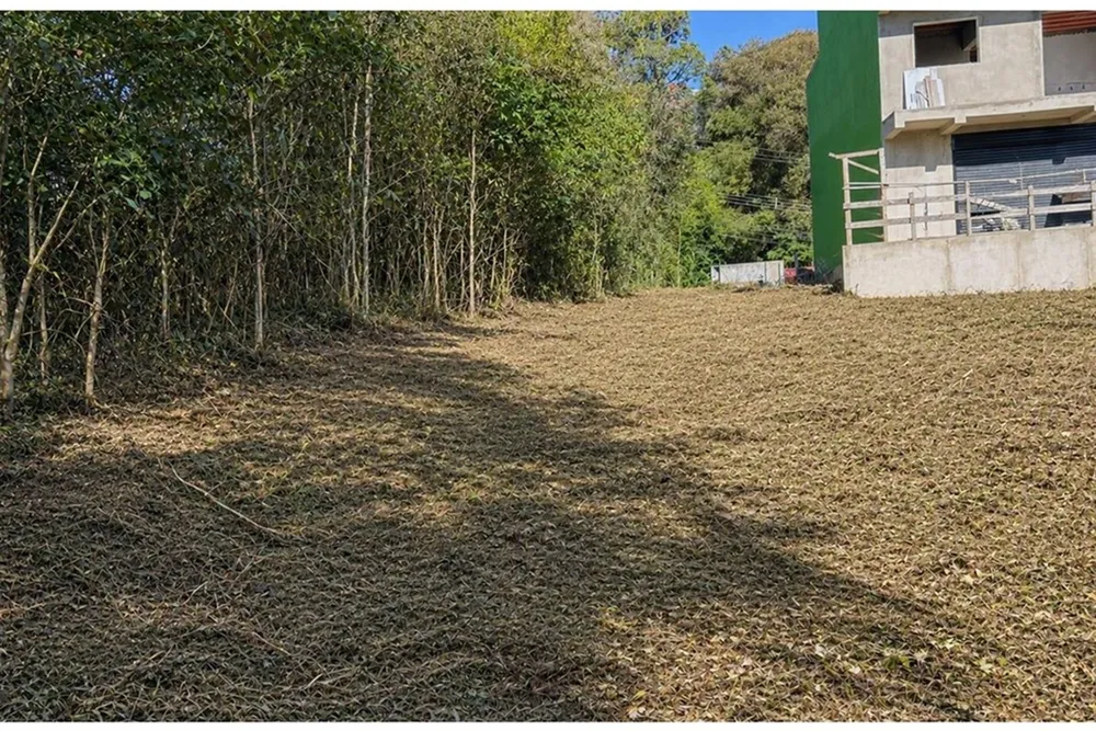 Terreno, 461 m² - Foto 6