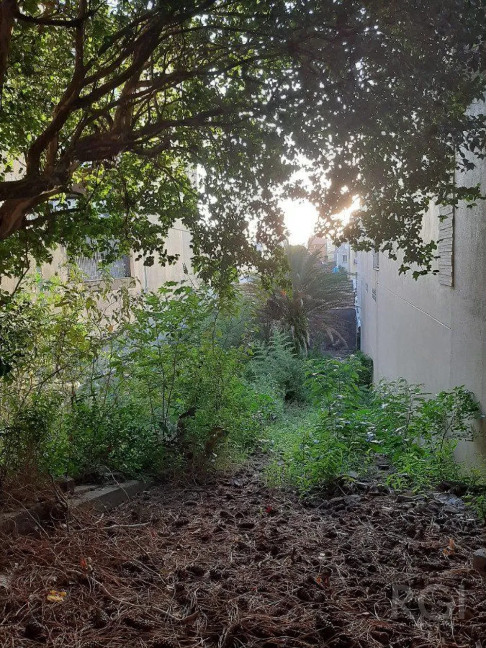 Casa, 4 quartos, 329 m² - Foto 3