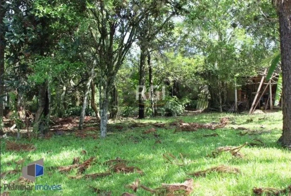 Sítio, 3 quartos, 101 m² - Foto 1