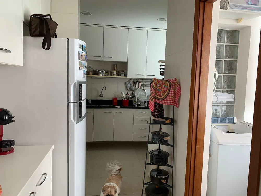 Cobertura, 3 quartos, 148 m² - Foto 6
