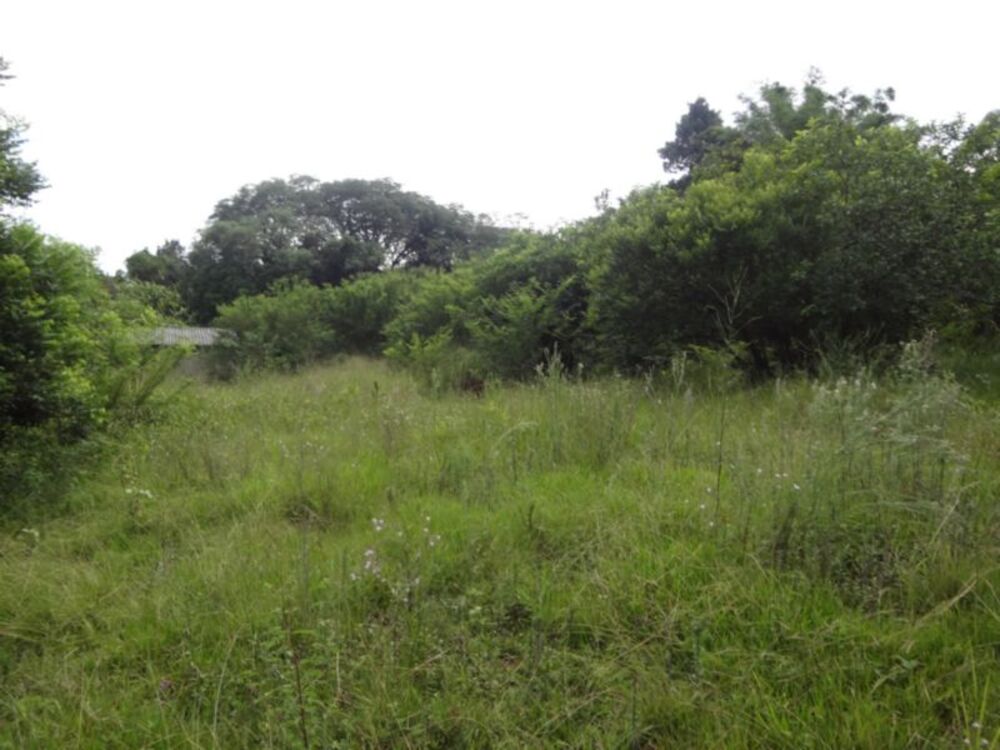 Terreno à venda, 1m² - Foto 5