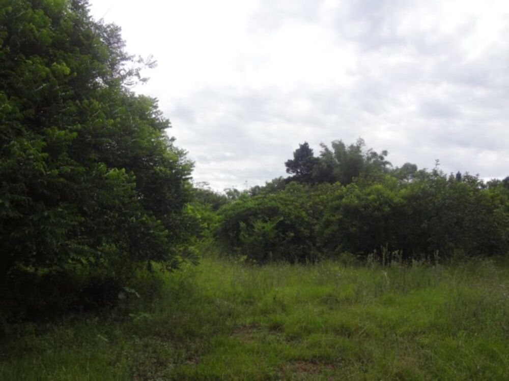 Terreno à venda, 1m² - Foto 4