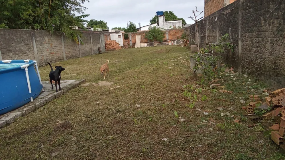 Casa, 3 quartos, 199 m² - Foto 1