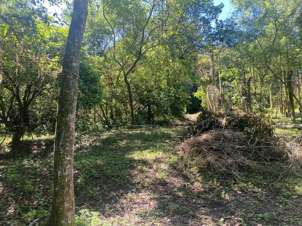 Terreno, 9751 m² - Foto 2