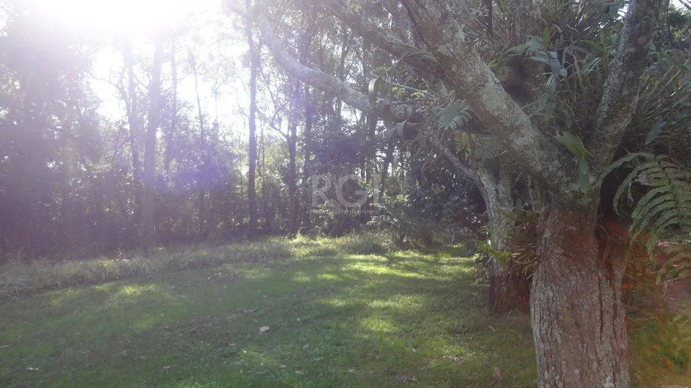 Sala-Conjunto, 30 m² - Foto 1