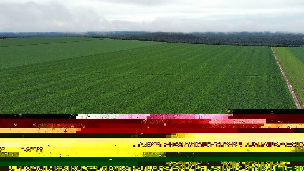 Fazenda - Foto 3