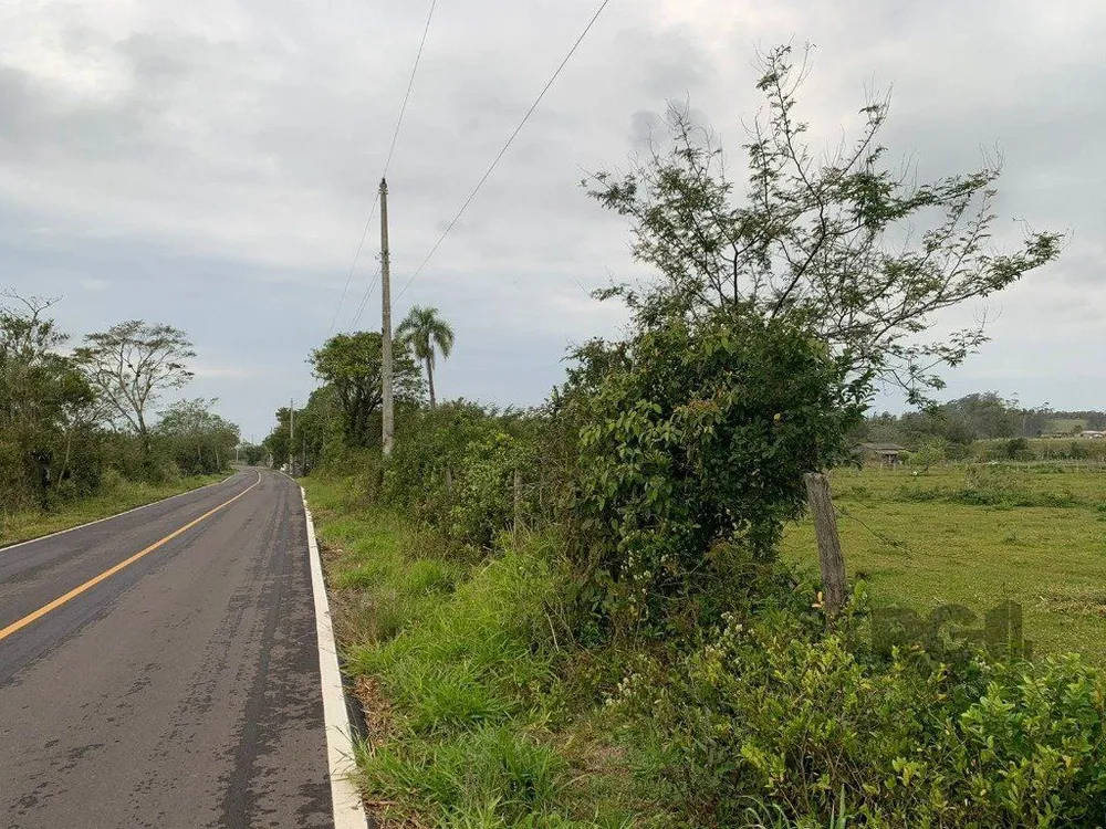 Fazenda - Foto 4