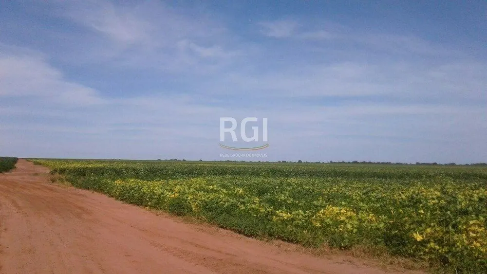 Fazenda - Foto 2