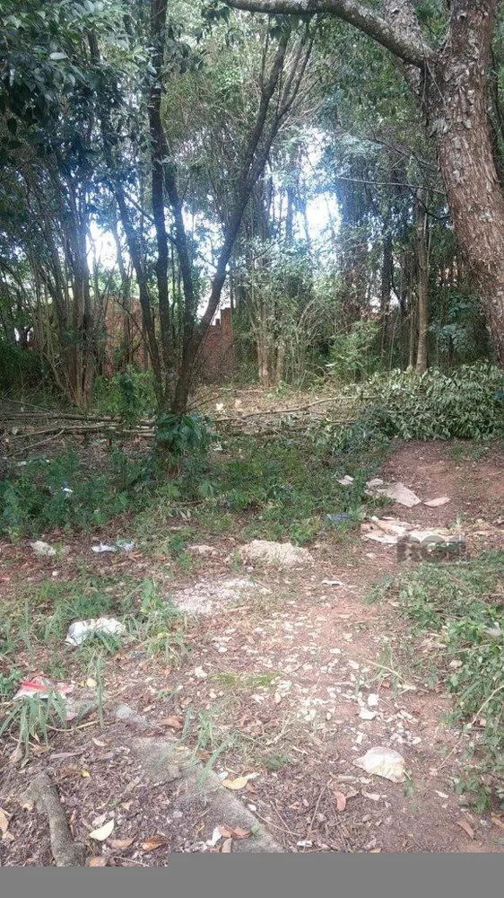 Terreno, 301 m² - Foto 1