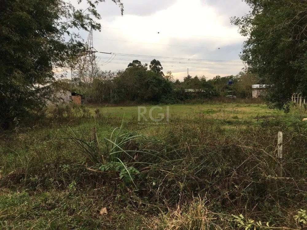Casa, 4 quartos, 499 m² - Foto 1