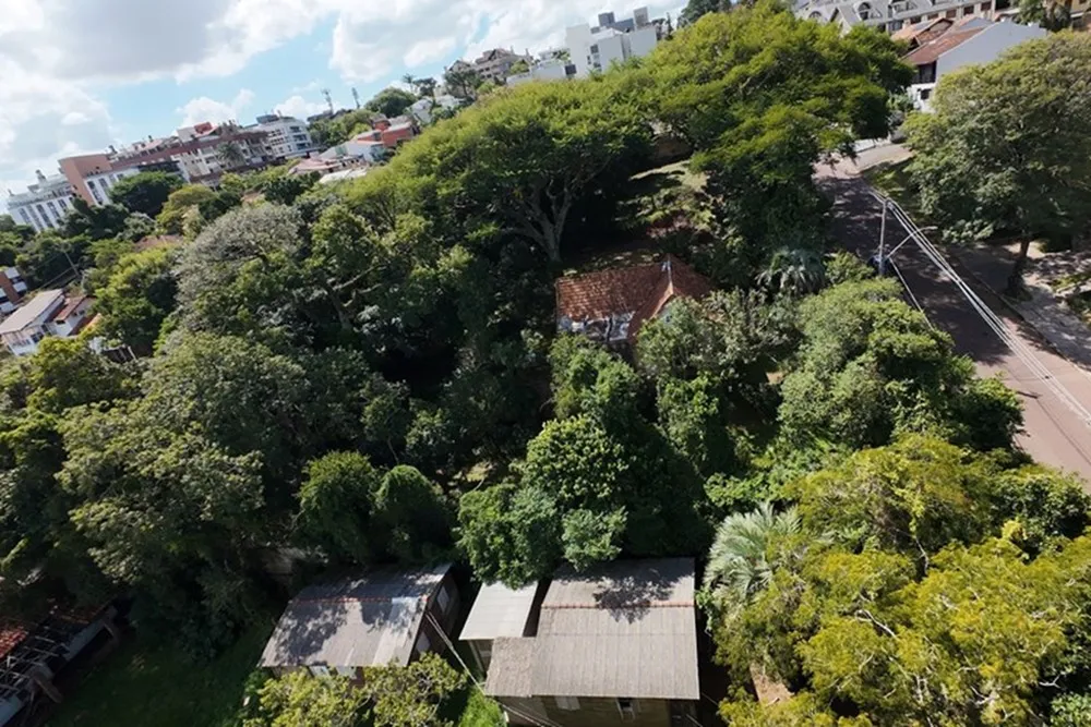 Terreno, 1189 m² - Foto 6