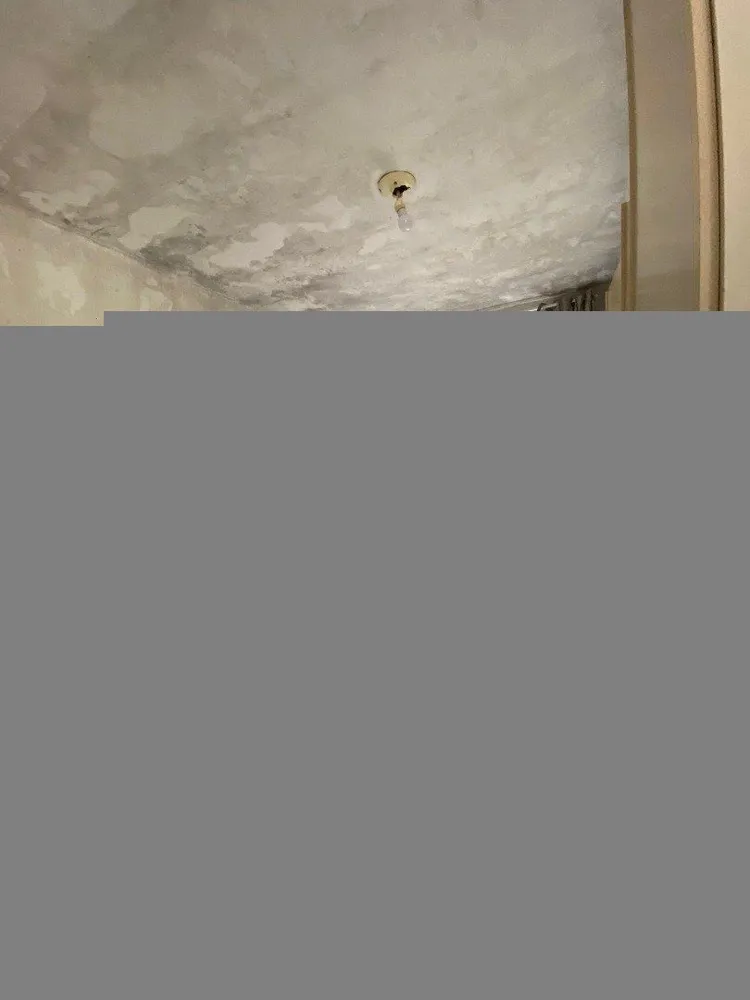 Apartamento, 2 quartos, 61 m² - Foto 2