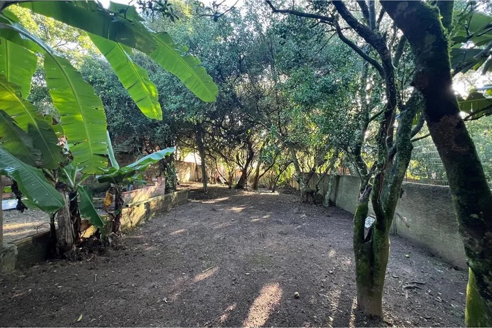 Terreno, 641 m² - Foto 8