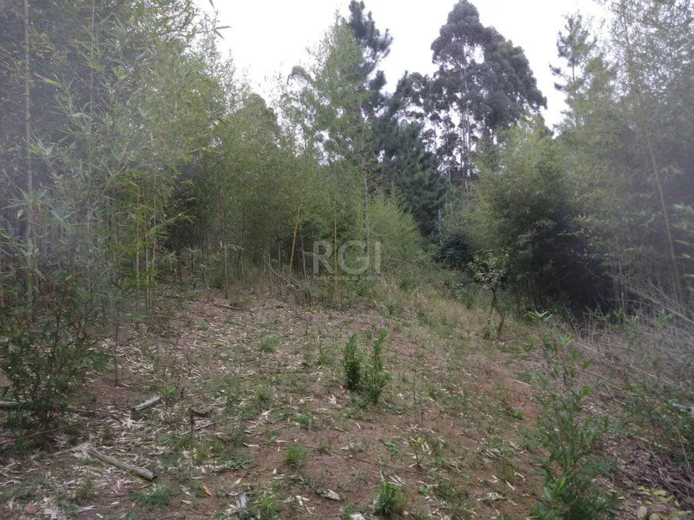 Sítio, 1 m² - Foto 5