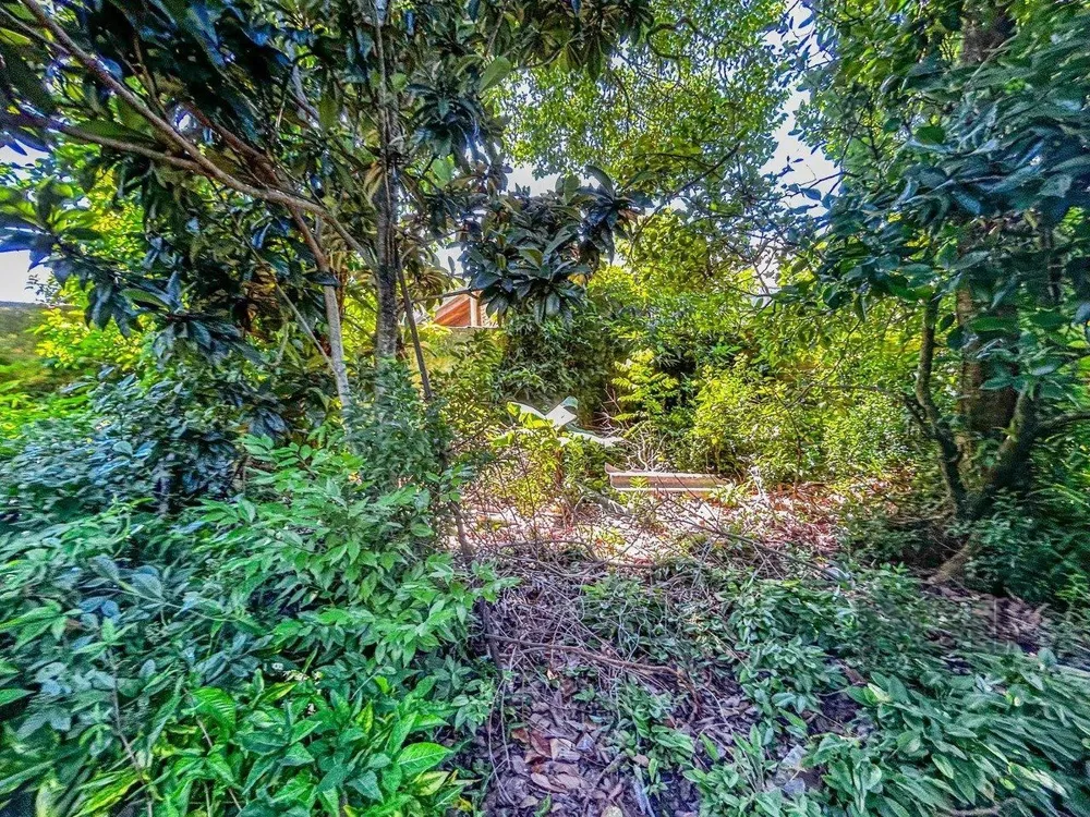 Terreno, 202 m² - Foto 1