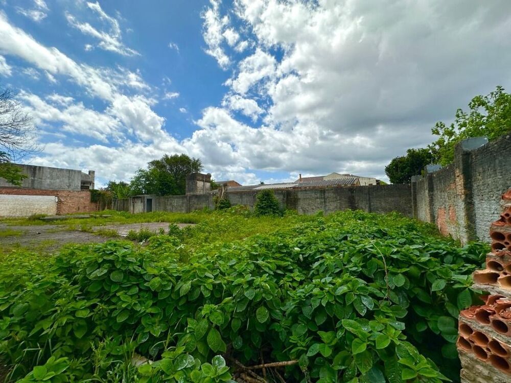 Terreno à venda, 1563m² - Foto 5