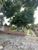 Terreno, 1021 m² - Foto 1