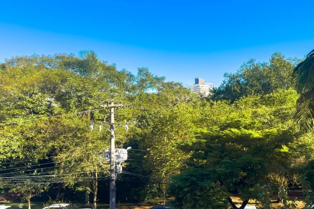 Depósito-Galpão, 259 m² - Foto 5
