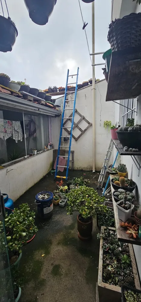 Casa, 4 quartos, 67 m² - Foto 6