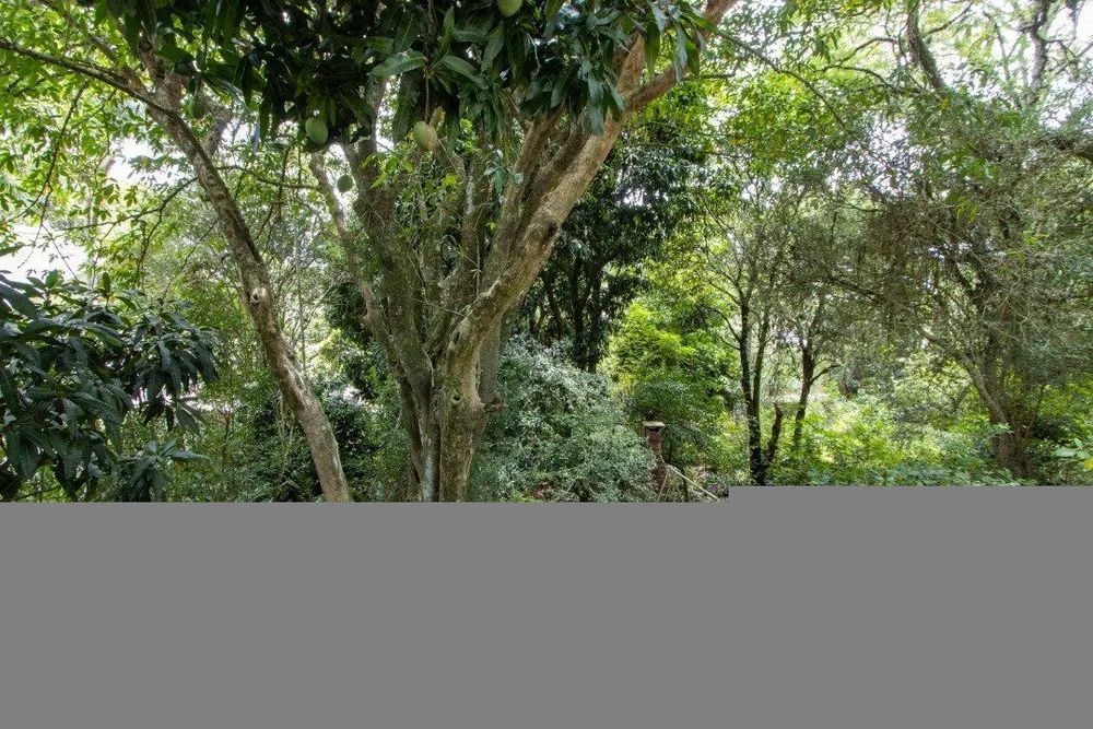 Terreno, 365 m² - Foto 5