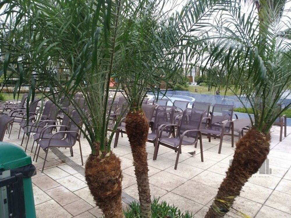 Casa de Condomínio à venda com 5 quartos, 291m² - Foto 2